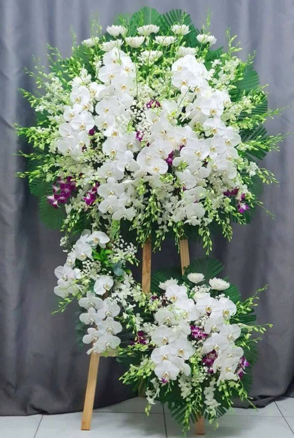 hoa chia buồn