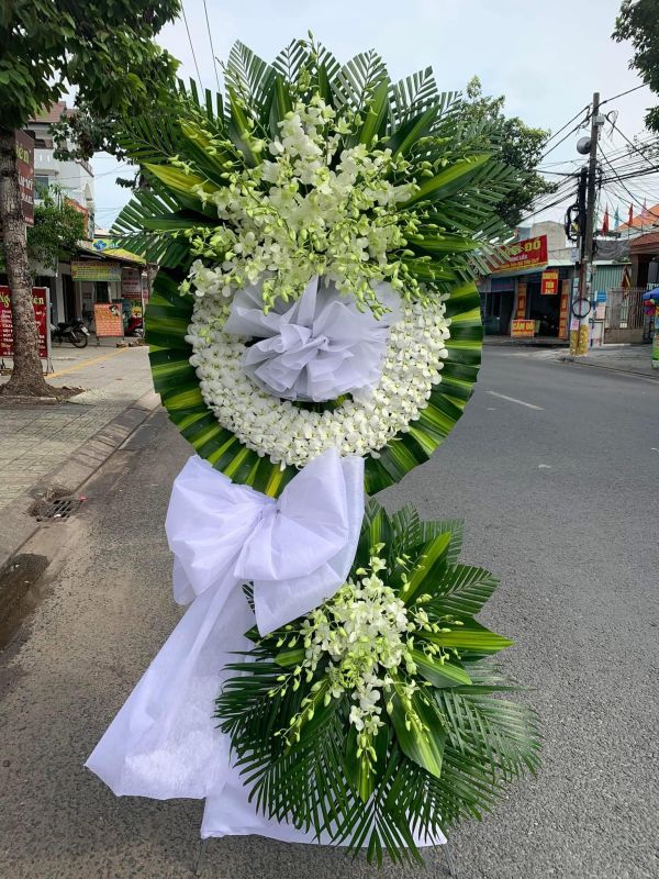 hoa chia buồn