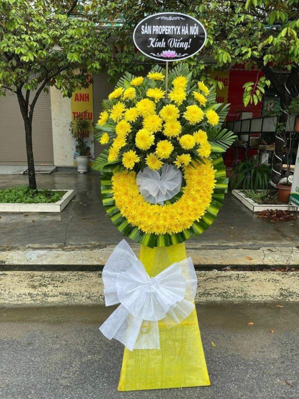 hoa chia buồn