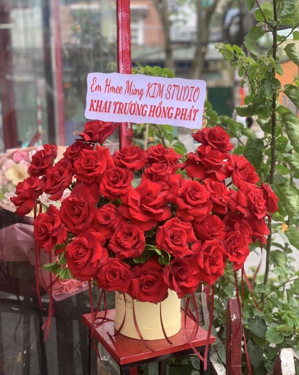 giỏ hoa khai trương 